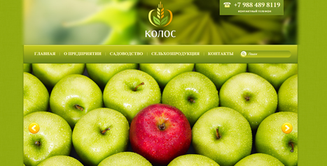 СПК "КОЛОС"